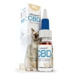Eine Schachtel CBD-Pastillen für Katzen (1,3 mg) steht neben einer Flasche.
