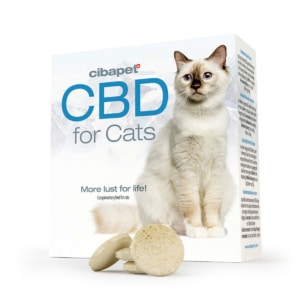 Eine Schachtel CBD-Pastillen für Katzen (1,3 mg) mit einer Katze daneben.