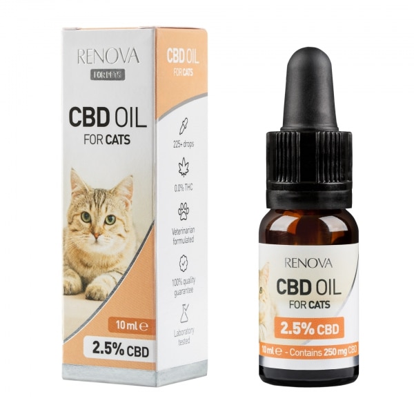 eine Flasche Renova CBD-Öl 2,5% für Katzen (10ml) neben einer Schachtel Renova CBD-Öl 2,5% für Katzen (10ml).