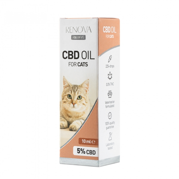 Eine Schachtel Renova - CBD-Öl 5 % für Katzen (10 ml) auf weißem Hintergrund.