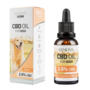 Eine Flasche Renova - CBD-Öl 2,5% für Hunde (30ml) neben einer Schachtel Renova - CBD-Öl 2,5% für Hunde (30ml).