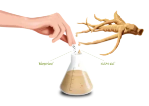 Flüssigkeit wird aus einer Pipette in einen Erlenmeyerkolben gedrückt, im Hintergrund ist ein braunes Skelettmodell zu sehen, das die veganen Kapseln Vitakruid – Ashwagandha KSM-66® & Bioperine® 60 darstellt.