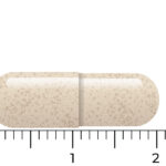 Eine vegane Kapsel Vitakruid Ashwagandha KSM-66® & Bioperine® ist beige, etwa 2 Zentimeter lang und wird horizontal auf einem Lineal platziert dargestellt.