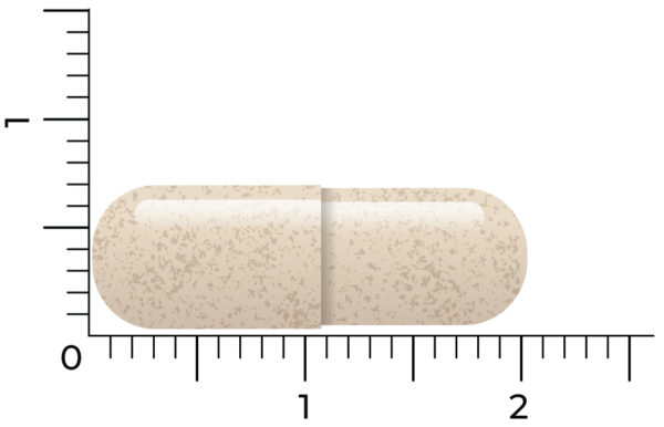 Eine vegane Kapsel Vitakruid Ashwagandha KSM-66® & Bioperine® ist beige, etwa 2 Zentimeter lang und wird horizontal auf einem Lineal platziert dargestellt.